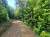North Carolina Land Auction, 1.1 Acres 1.1 Acres North Carolina Land