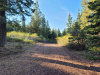 2.74 Acres Oregon Land