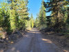 9.34 Acres Oregon Land