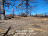 Watch the included video of this land 2 Acres Oregon Land