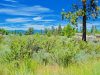 Oregon Land Auction, 0.28 Acres 0.28 Acres Oregon Land