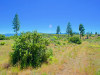 2.5 Acres of Land for Sale in Oregon 2.5 Acres Oregon Land