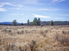 Oregon Land for Sale, $0.00 per month 40 Acres Oregon Land