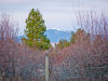 Great views from this .25 Acre Lot .25 Acres Oregon Land