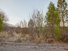 .25 Acres of Land for Sale in Oregon .25 Acres Oregon Land
