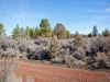 1.57 Acres of Land for Sale in Oregon 1.57 Acres Oregon Land
