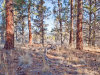 Land for Sale in Oregon 2.3 Acres Oregon Land