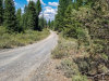 Owner Financing, $212 per month 3.42 Acres Oregon Land