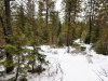 2.1 Acres of Land for Sale in Oregon 2.1 Acres Oregon Land