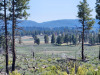 2.38 acres