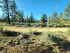 2.39 acres