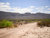 Owner Financing, $320 per month 20.1 Acres Texas Land
