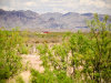 Texas Land Auction 20.1 Acres Texas Land