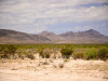 20.01 Acres of Texas Land for Sale 20.01 Acres Texas Land