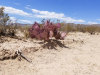 20.01 Acres of Texas Land for Sale 20.01 Acres Texas Land