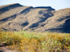 Land for Sale in Texas, 20.01 Acres 20.01 Acres Texas Land