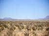 Land for Sale in Texas 20.02 Acres Texas Land