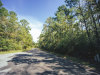 Land for Sale in Texas, 0.3 Acres 0.3 Acres Texas Land
