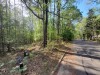 Land for Sale in Texas, 0.23 Acres 0.23 Acres Texas Land