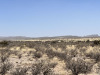 20 Acres Texas Land