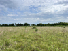 9.9 Acres for $963 a month 9.9 Acres Texas Land