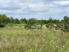9.9 Acres of Texas Land for Sale 9.9 Acres Texas Land