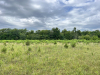  Texas Land