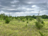9.9 Acres for $963 a month 9.9 Acres Texas Land