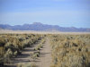 8.82 Acres of Land for Sale in Utah 8.82 Acres Utah Land
