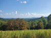 3.66 Acres of Virginia Land for Sale