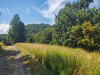 Virginia Land Auction 1.96 Acres Virginia Land