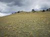 Great views from this 4.47 Acre Lot 4.47 Acres Colorado Land