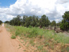 Cheap Monthly Payment of $127 5 Acres New Mexico Land