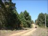 Tennessee Land Auction, 5 Acres 5 Acres Tennessee Land