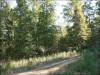 Watch the included video of this land 5 Acres Tennessee Land