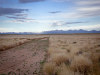 5.0 Acres of Colorado Land for Sale