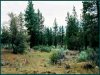 Land for Sale in Oregon, 2.61 Acres 2.61 Acres Oregon Land