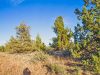 1.49 Acres of California Land for Sale