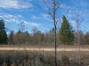 1 Acre of Florida Land for Sale 1 Acre Florida Land
