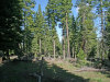 Land for Sale in California, .92 Acres .92 Acres California Land
