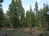 Land for Sale in California, .92 Acres .92 Acres California Land