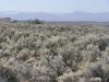 .99 Acres for $137 a month .99 Acres Washington Land
