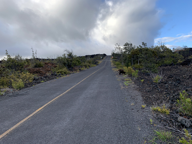 Hawaii Land for Sale - Hawaii Land Auction (ended on Wed Feb-19-25 3:36 ...