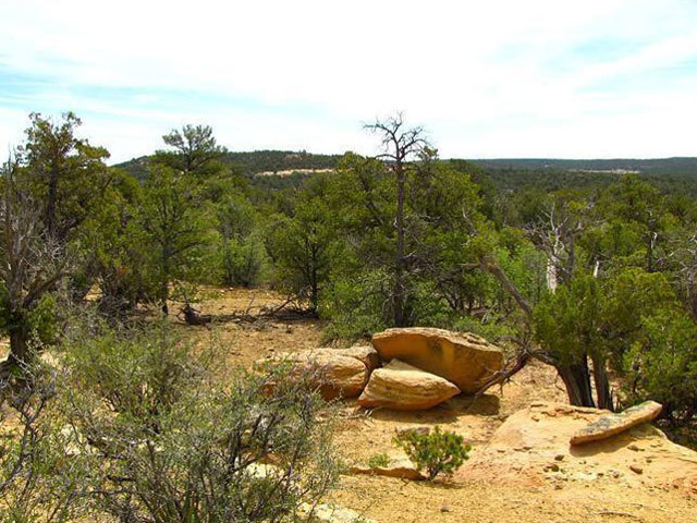 New Mexico Land for Sale - New Mexico Land Auction (ended on Fri Mar-1 ...