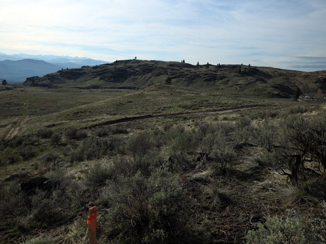 Washington Land for Sale - Washington Land Auction (ended on Mon Apr-14 ...