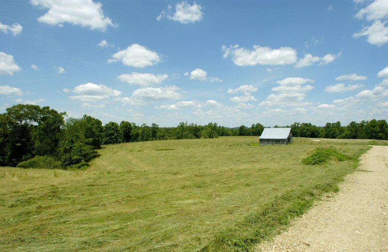 FARMS BLUEGRASS ESTATES PHOTO ALBUM 2