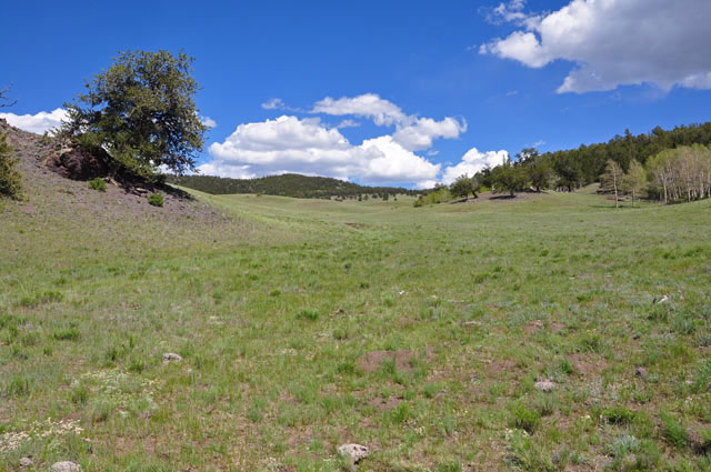 Great views from this 5.8 Acre Lot 5.8 Acres Colorado Land