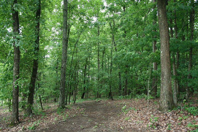 !billyland tennessee land peregrine heights estates