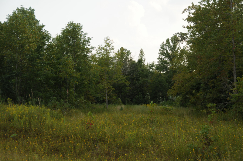 !billyland tennessee land peregrine heights estates