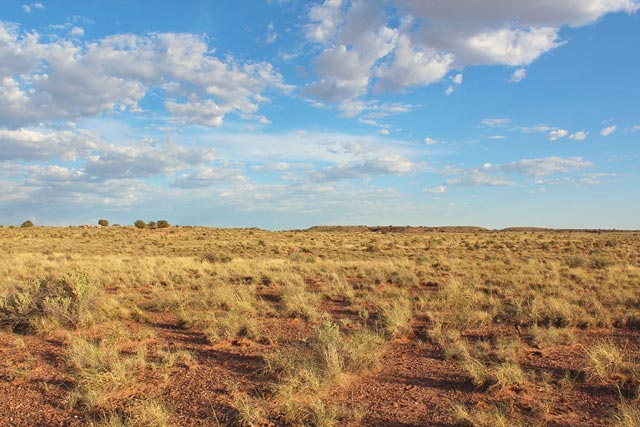 Northern Arizona Ranches Arizona Land for Sale - Arizona Land Auction (ended on Sat Apr-8-23 3: ...
